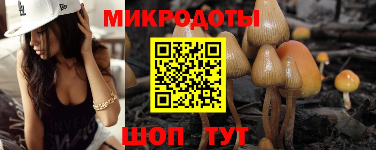 как найти закладки  Псилоцибиновые грибы Psilocybe  Псилоцибиновые грибы MAGIC MUSHROOMS  Вход с VPN  Тольятти 
